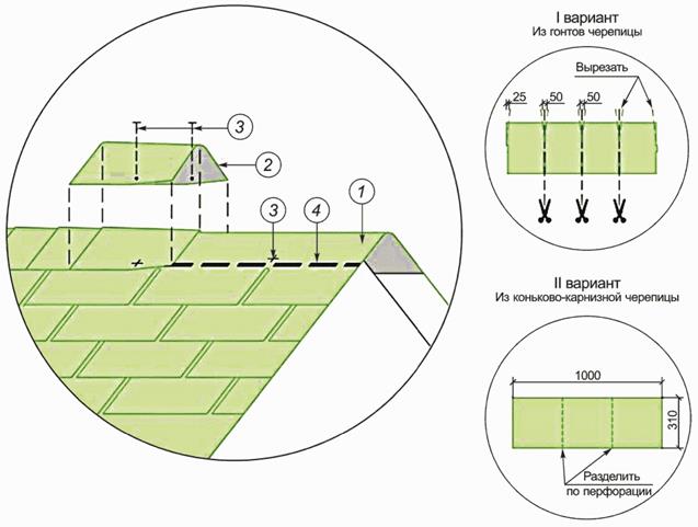 image020.jpg image020.jpg