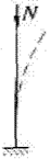 image115.png