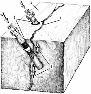 image005.jpg image005.jpg