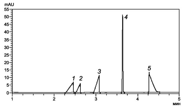 image010.jpg image010.jpg