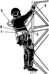 image008.gif