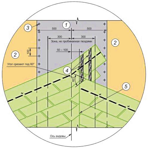 image019.jpg image019.jpg