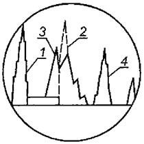 image009.jpg