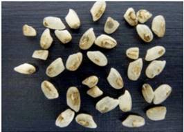 image0ares.jpg image0ares.jpg