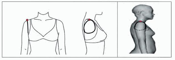 image029.jpg image029.jpg