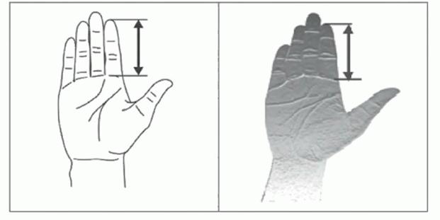 image111.jpg image111.jpg