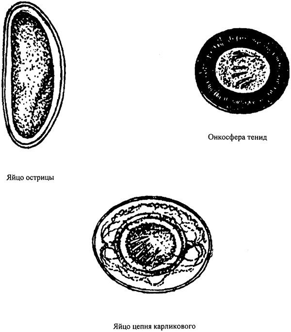 image005.png