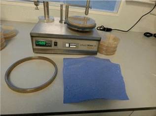 image006.jpg image006.jpg