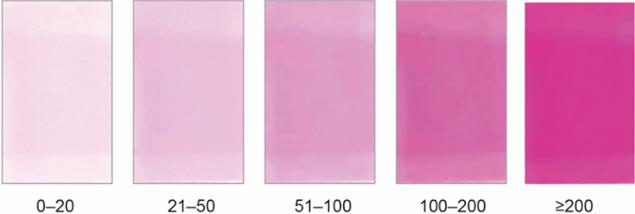 image008.jpg image008.jpg