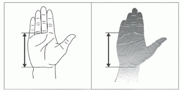 image110.jpg image110.jpg