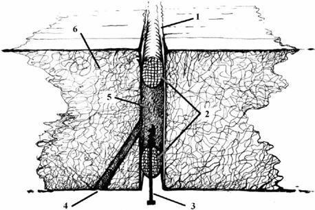 image002.jpg image002.jpg