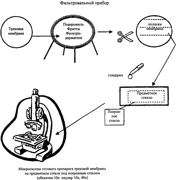 image006.png