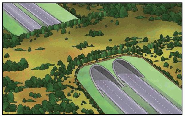 image003.jpg image003.jpg