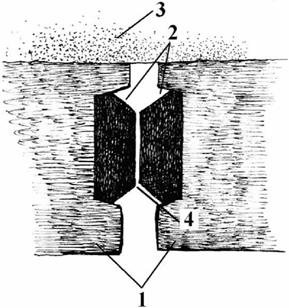 image028.jpg image028.jpg