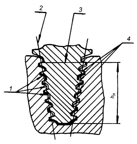 image034.jpg image034.jpg