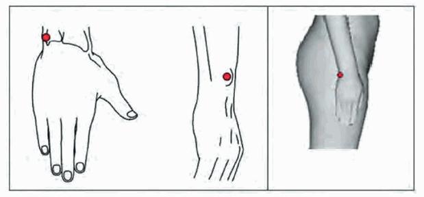 image019.jpg image019.jpg