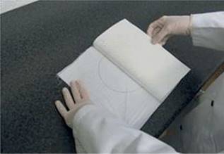 image004.jpg image004.jpg