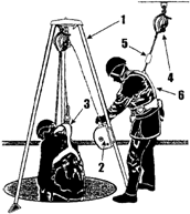 image011.gif