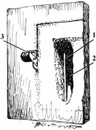 image011.jpg image011.jpg