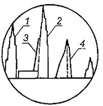image008.jpg
