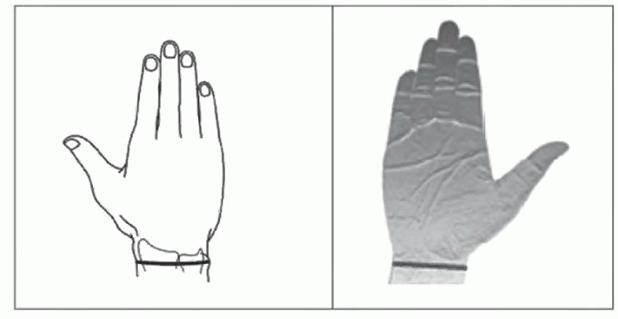 image075.jpg image075.jpg