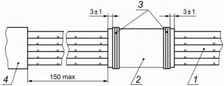 image006.jpg image006.jpg