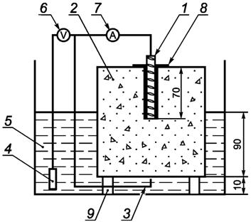 image005.jpg image005.jpg