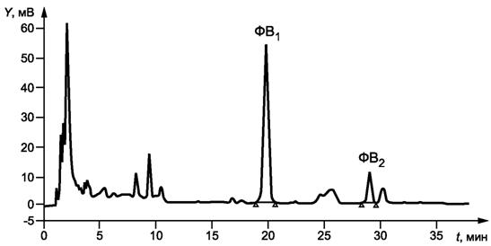 image003.jpg image003.jpg