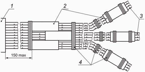 image008.jpg image008.jpg