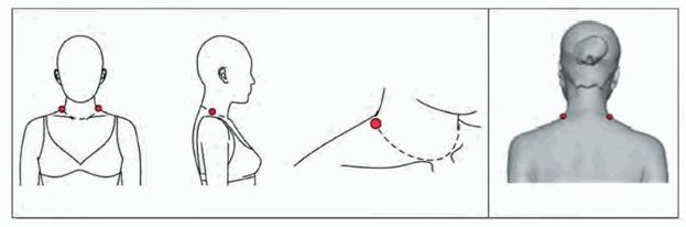 image007.jpg image007.jpg