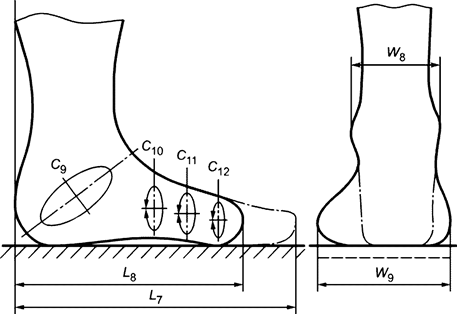 image006.png image006.png