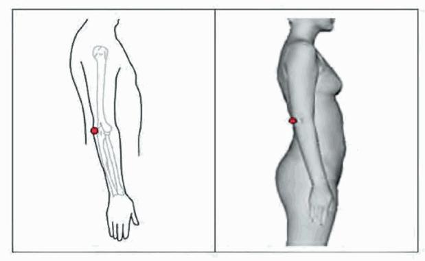 image010.jpg image010.jpg