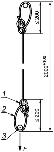 image004.jpg image004.jpg