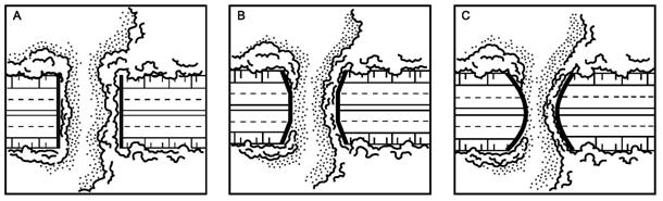 image001.jpg image001.jpg