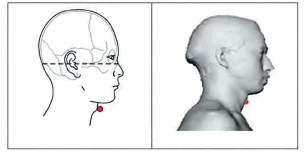 image009.jpg image009.jpg