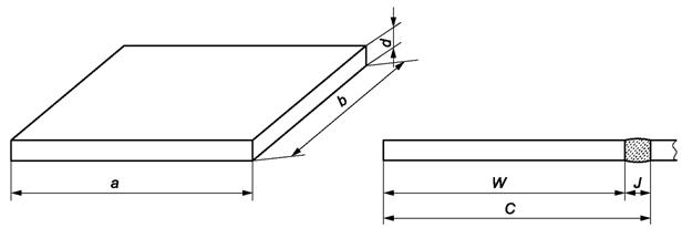 image00net1.jpg image00net1.jpg