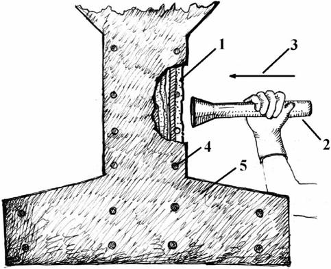 image020.jpg image020.jpg