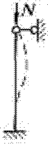 image113.png