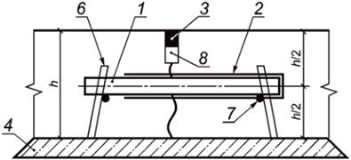 image005.jpg image005.jpg