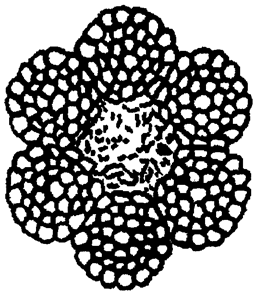 image006.png image006.png