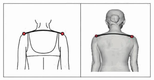 image086.jpg image086.jpg