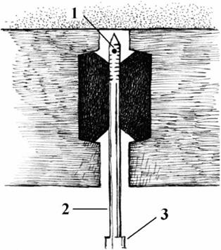 image029.jpg image029.jpg